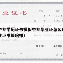 职业中专学历证书模板中专毕业证怎么填（中专毕业证书长啥样）