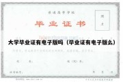 大学毕业证有电子版吗（毕业证有电子版么）