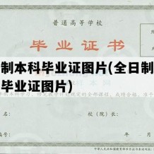 全日制本科毕业证图片(全日制大学本科毕业证图片)