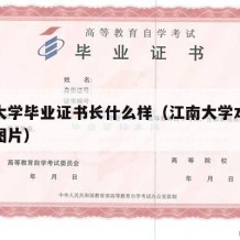 江南大学毕业证书长什么样（江南大学本科毕业证图片）