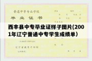 西丰县中专毕业证样子图片(2001年辽宁普通中专学生成绩单）