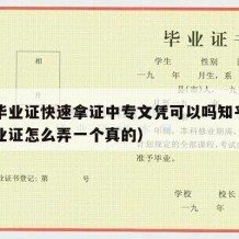 中专毕业证快速拿证中专文凭可以吗知乎（中专毕业证怎么弄一个真的）