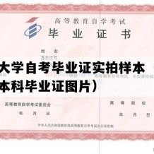 东北大学自考毕业证实拍样本（辽宁自考本科毕业证图片）