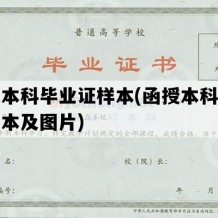 函授本科毕业证样本(函授本科毕业证样本及图片)