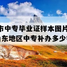 德州市中专毕业证样本图片(1995年山东地区中专补办多少钱）