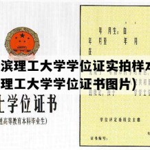 哈尔滨理工大学学位证实拍样本(哈尔滨理工大学学位证书图片)