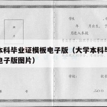 大学本科毕业证模板电子版（大学本科毕业证模板电子版图片）