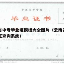 云南省中专毕业证模板大全图片（云南省中专毕业证查询系统）