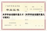 大学毕业证图片是几寸（大学毕业证图片是几寸照片）