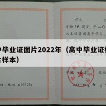 高中毕业证图片2022年（高中毕业证模板图片样本）