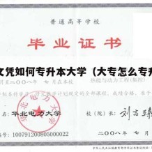 大专文凭如何专升本大学（大专怎么专升本科）