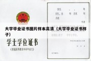 大学毕业证书图片样本高清（大学毕业证书样子）