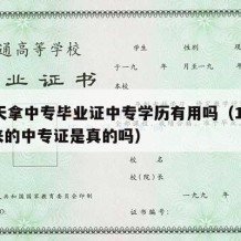 15天拿中专毕业证中专学历有用吗（15天出来的中专证是真的吗）