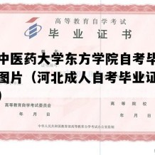 北京中医药大学东方学院自考毕业证样子图片（河北成人自考毕业证购买价格）