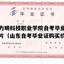 山东力明科技职业学院自考毕业证样本图片（山东自考毕业证购买价格）