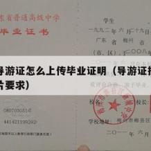 报考导游证怎么上传毕业证明（导游证报名上传照片要求）