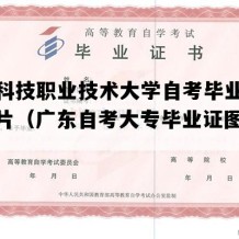 广州科技职业技术大学自考毕业证样子图片（广东自考大专毕业证图片模板）