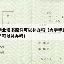 大学毕业证书原件可以补办吗（大学毕业证书弄丢了可以补办吗）