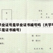 大学毕业证号是毕业证书编号吗（大学毕业证号是不是证书编号）