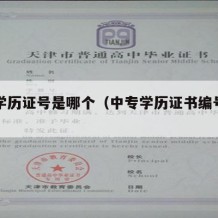 中专学历证号是哪个（中专学历证书编号是几位）