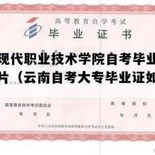 云南现代职业技术学院自考毕业证样本图片（云南自考大专毕业证如何购买）