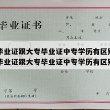 中专毕业证跟大专毕业证中专学历有区别吗（中专毕业证跟大专毕业证中专学历有区别吗）