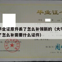 大学毕业证原件丢了怎么补领新的（大学毕业证丢了怎么补需要什么证件）