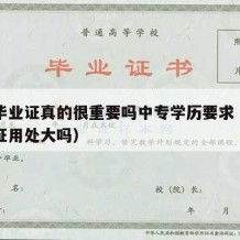 中专毕业证真的很重要吗中专学历要求（中专毕业证用处大吗）