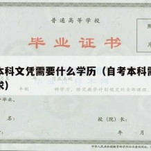 自考本科文凭需要什么学历（自考本科需要哪些要求）