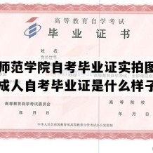 洛阳师范学院自考毕业证实拍图片（河南成人自考毕业证是什么样子的）