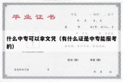 什么中专可以拿文凭（有什么证是中专能报考的）