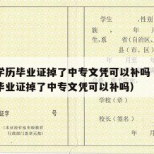 中专学历毕业证掉了中专文凭可以补吗（中专学历毕业证掉了中专文凭可以补吗）