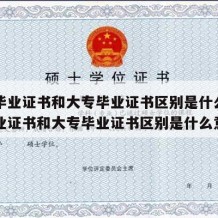 中专毕业证书和大专毕业证书区别是什么（中专毕业证书和大专毕业证书区别是什么意思）