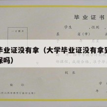 大学毕业证没有拿（大学毕业证没有拿到可以交社保吗）