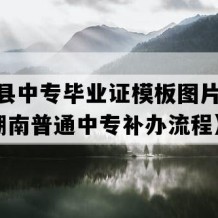 宜章县中专毕业证模板图片(1991年湖南普通中专补办流程）