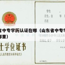 山东省中专学历认证在哪（山东省中专学历认证在哪里）