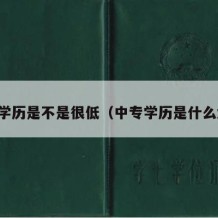 中专学历是不是很低（中专学历是什么水平）