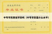 中专学历算低学历吗（中专学历是什么水平）