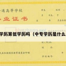 中专学历算低学历吗（中专学历是什么水平）