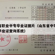 山东省职业中专毕业证图片（山东省中等职业学校毕业证查询系统）