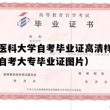 南方医科大学自考毕业证高清样本（广东自考大专毕业证图片）