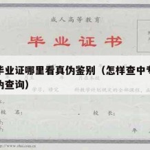 中专毕业证哪里看真伪鉴别（怎样查中专毕业证真伪查询）