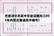 巴彦淖尔市高中毕业证图片(1995年内蒙古普通高中编号）