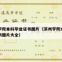 滨州学院本科毕业证书图片（滨州学院本科毕业证书图片大全）