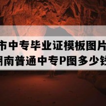 郴州市中专毕业证模板图片(1996年湖南普通中专P图多少钱）