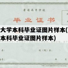 开放大学本科毕业证图片样本(开放大学本科毕业证图片样本)