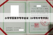 小学学历有中专毕业证（小学升中专学历）