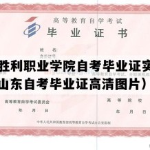 山东胜利职业学院自考毕业证实拍图片（山东自考毕业证高清图片）