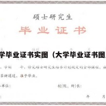 大学毕业证书实图（大学毕业证书图片）