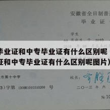 技工毕业证和中专毕业证有什么区别呢（技工毕业证和中专毕业证有什么区别呢图片）